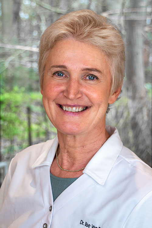 Dr. Ilse Van Renterghem